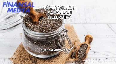 Çiya Tohumu Zararları Nelerdir?