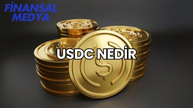 USDC Nedir