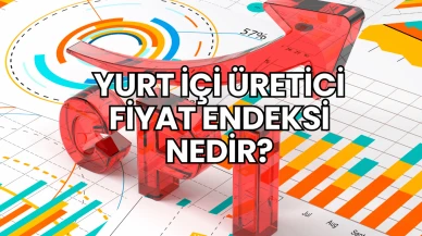 Yurt İçi Üretici Fiyat Endeksi Nedir?