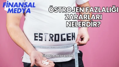 Östrojen Fazlalığı Zararları Nelerdir?