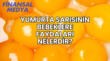 Yumurta Sarısının Bebeklere Faydaları Nelerdir?