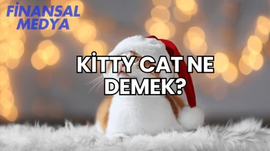 Kitty Cat Ne Demek?