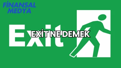 Exit Ne Demek