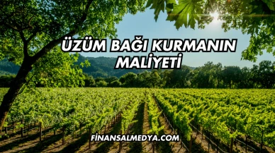 Üzüm Bağı Kurmanın Maliyeti