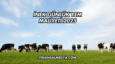 İnek Günlük Yem Maliyeti 2025