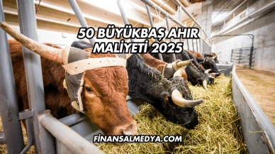 50 Büyükbaş Ahır Maliyeti 2025