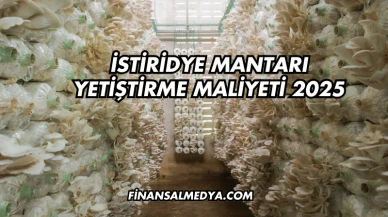 İstiridye Mantarı Yetiştirme Maliyeti 2025