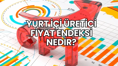 Yurt İçi Üretici Fiyat Endeksi Nedir?