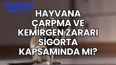 Hayvana Çarpma ve Kemirgen Zararı Sigorta Kapsamında mı?