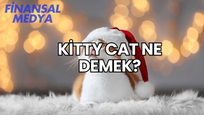 Kitty Cat Ne Demek?