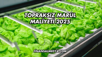 Topraksız Marul Maliyeti 2025