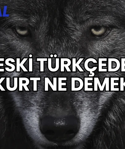 Eski Türkçede Kurt Ne Demek