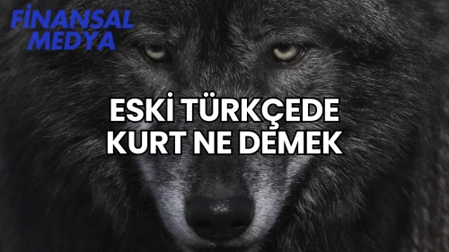 Eski Türkçede Kurt Ne Demek