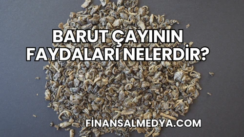 Barut Çayının Faydaları Nelerdir?