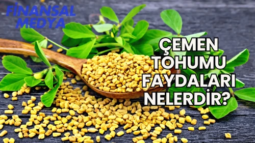 Çemen Tohumu Faydaları Nelerdir?