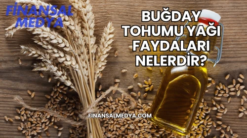 Buğday Tohumu Yağı Faydaları Nelerdir?