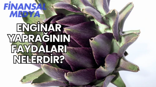 Enginar Yaprağının Faydaları Nelerdir?