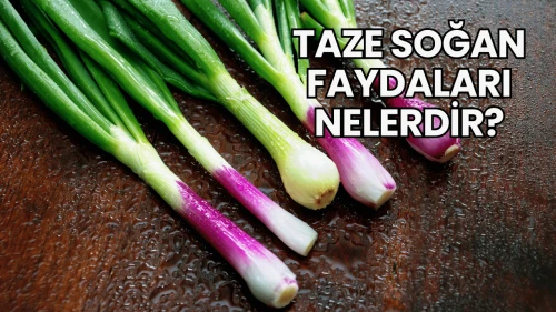 Taze Soğan Faydaları Nelerdir?