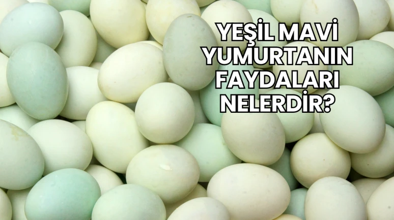 Yeşil Mavi Yumurtanın Faydaları Nelerdir?