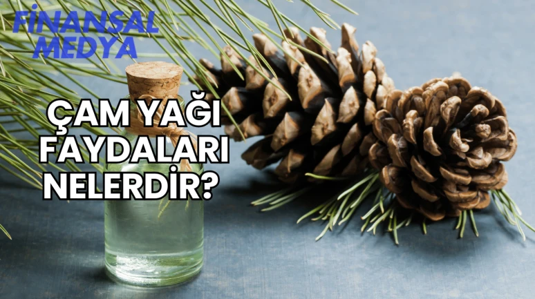 Çam Yağı Faydaları Nelerdir?