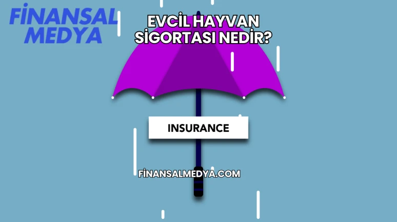 Evcil Hayvan Sigortası Nedir?