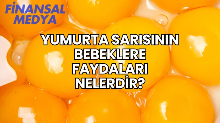 Yumurta Sarısının Bebeklere Faydaları Nelerdir?