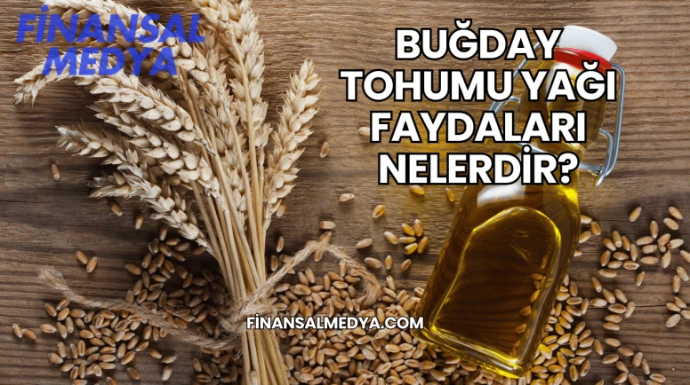 Buğday Tohumu Yağı Faydaları Nelerdir?